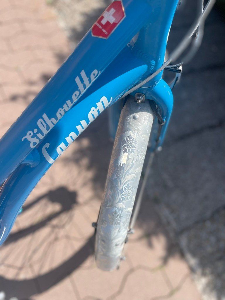 Canyon Biciclette: Damenvelo Canyon Silhouette hellblau / Retrobike – Usato da Dietlikon venduto da Gwundrix 5