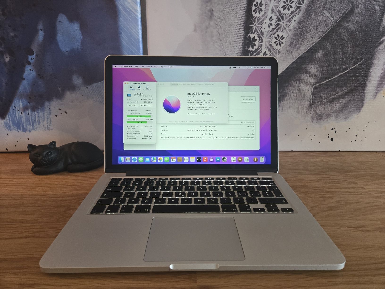 Apple Notebook: Apple MacBook Pro 13 2015 Gut Zustand – Usato da Biberist venduto da Volo28