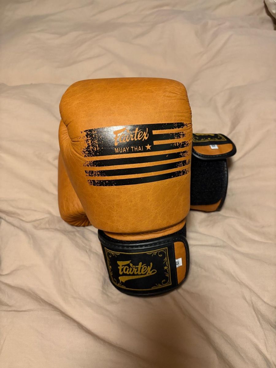 Guanti & manicotti: Gants de boxe Fairtex Legacy 12oz – Nuovo (secondo la descrizione) da Chêne-Bougeries venduto da jool