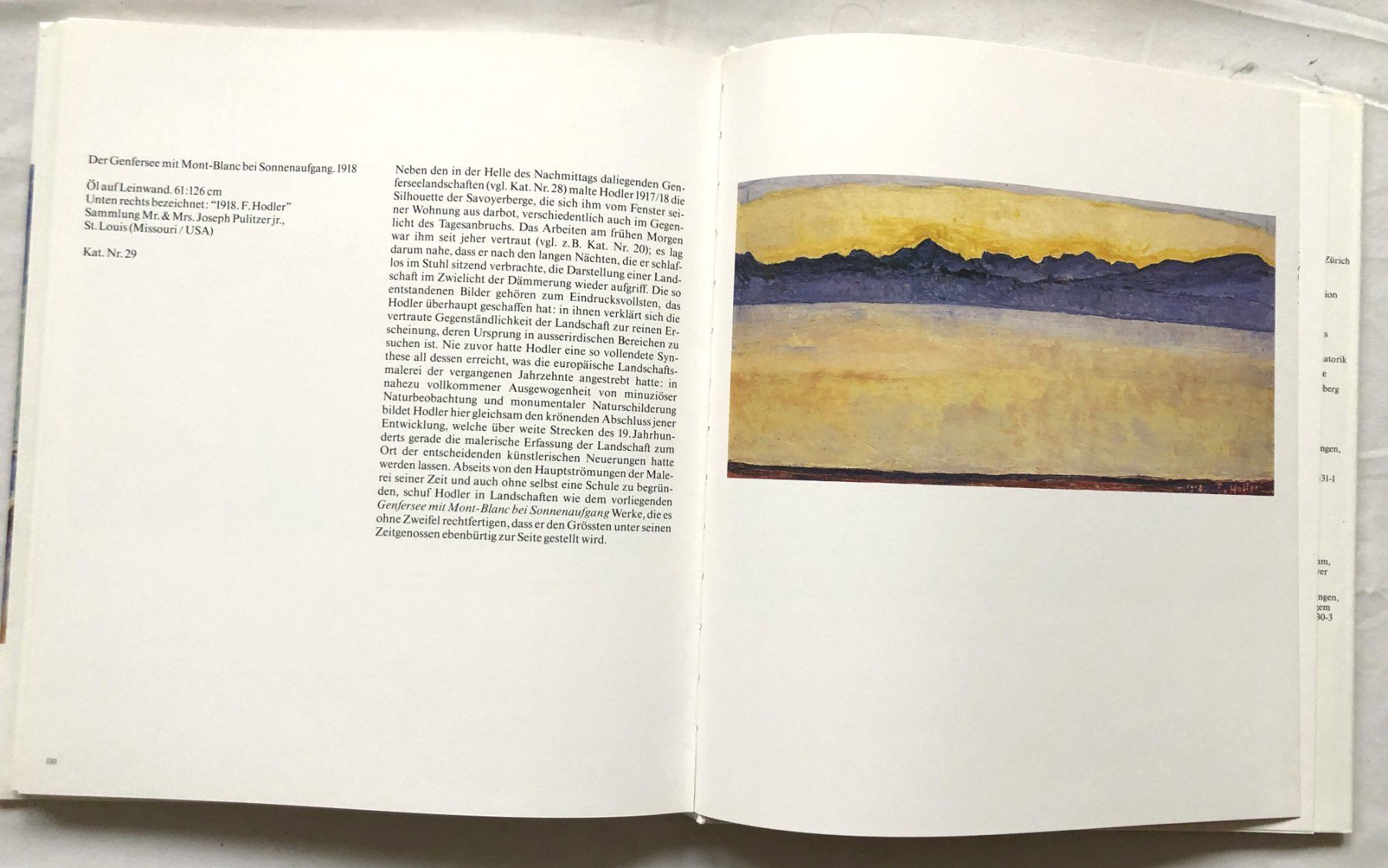 Libri: Ferdinand Hodler - Landschaften - Kunstband – Usato da Schaffhausen venduto da durruti 6