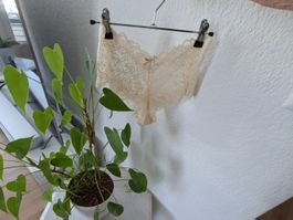 Schönes Panty Höschen gr L NEU