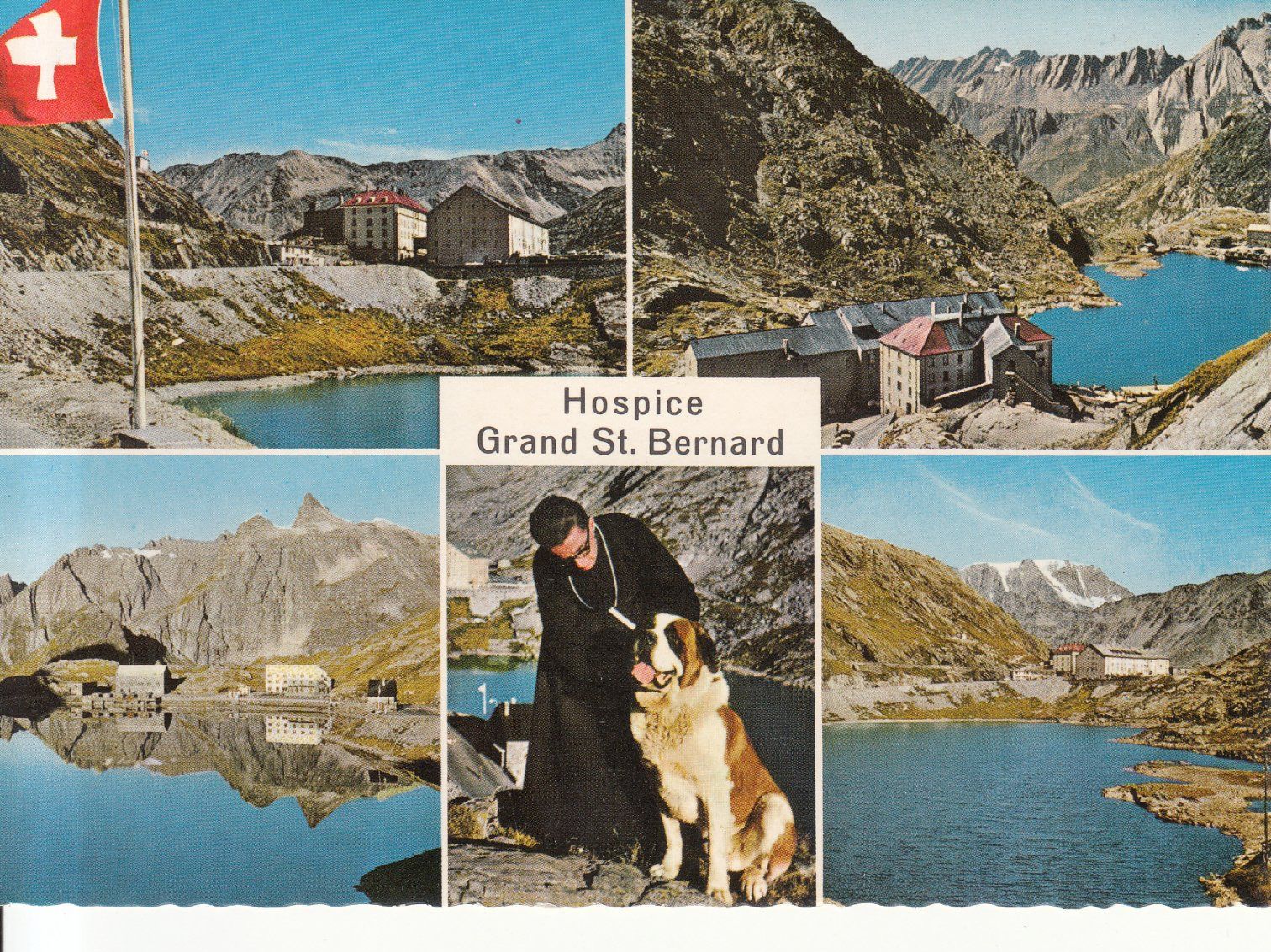 Cartoline postali: Grand St. Bernard ca. 1960 – Usato da Bürglen TG venduto da StampGraf