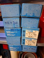 Bieler Flachrundschrauben M12 x 300, 100 Stk, NP 1500.-