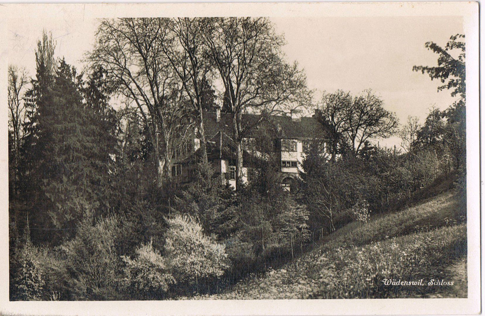 Ansichtskarten: Wädenswil, Schloss – Gebraucht aus Buchs AG von Baerfisch