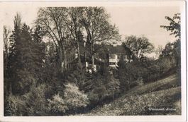 Wädenswil, Schloss