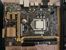 Cpus,Ram,Gpu and Motherboard