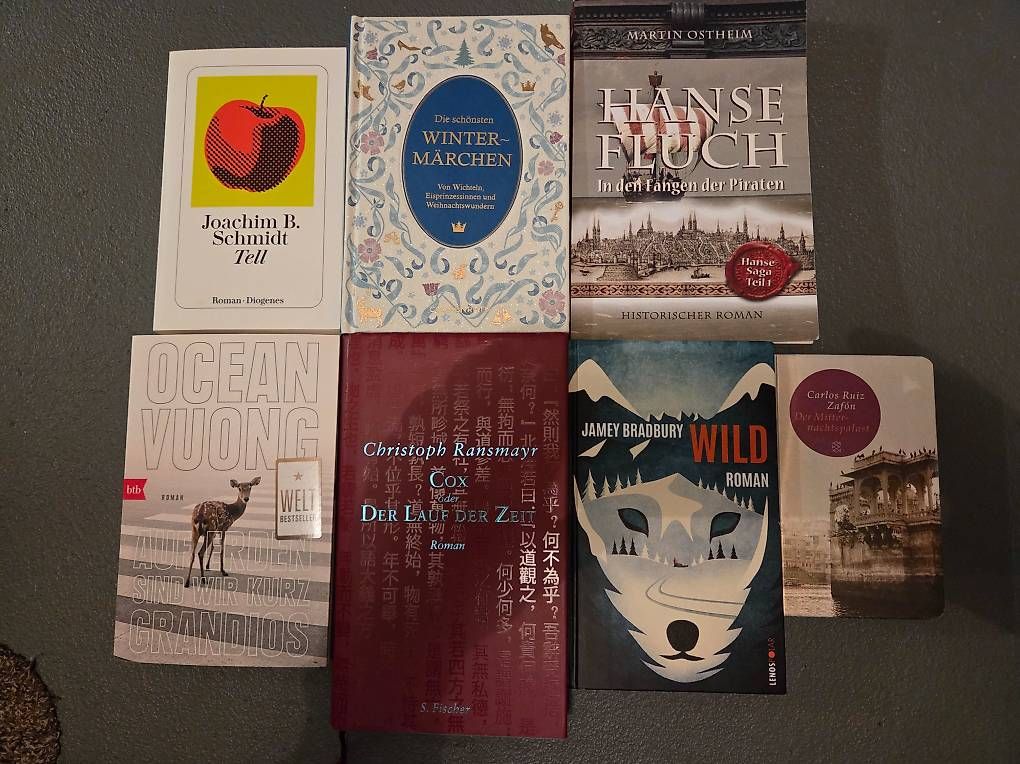 Libri: Set mit 6 Büchern – Usato da Dinhard venduto da Xspark