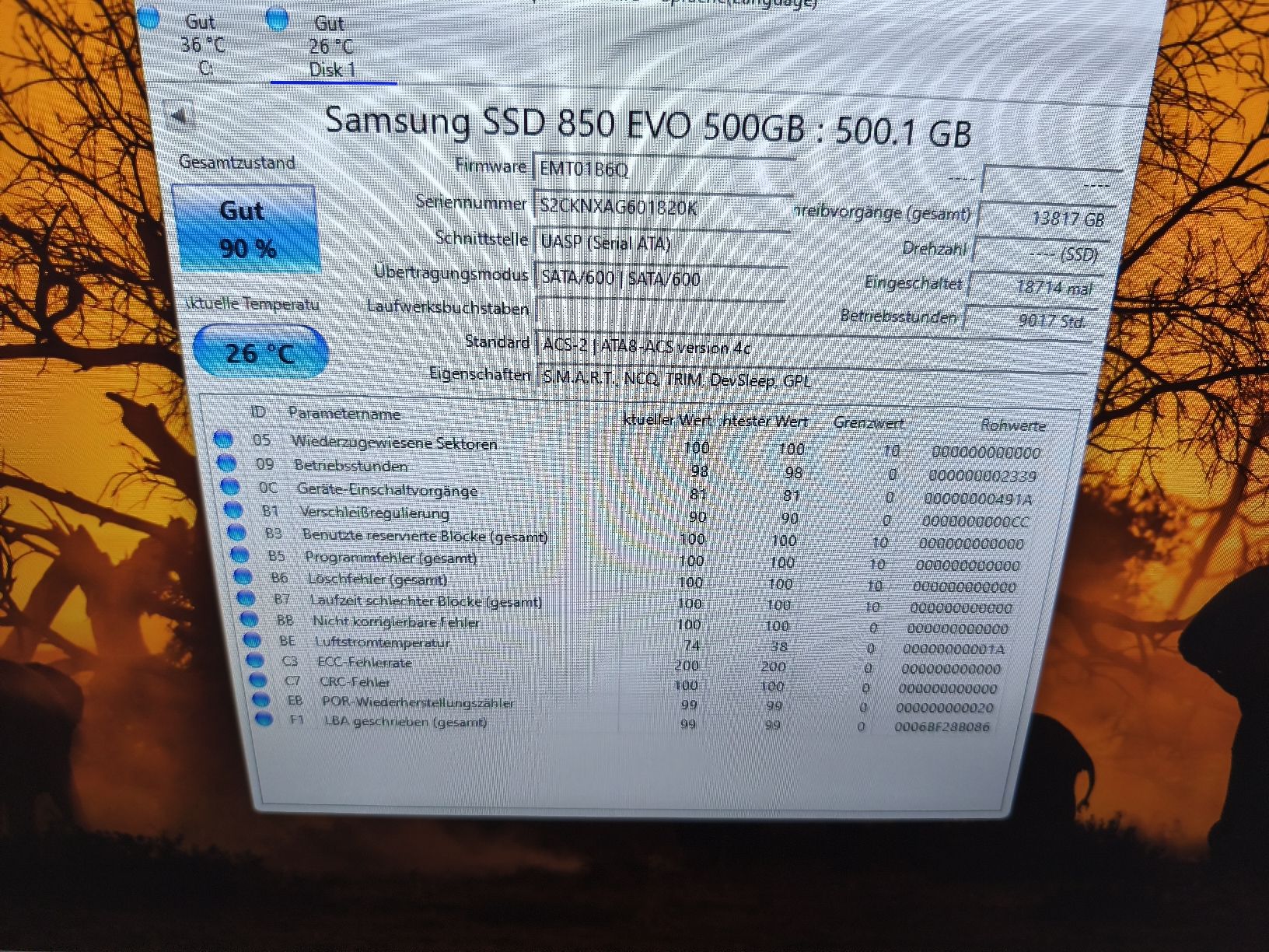 Samsung Harddisks: Samsung 850 500 Festplatte  – Gebraucht aus Burgdorf von weggu.666 1