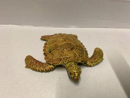 Sea Turtle