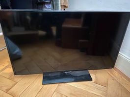 Samsung TV  40“ + Disc Player + Media Player WD TV live