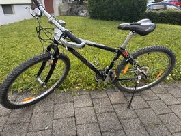 Specialized Mountainbike 26 Zoll, Jugendvelo