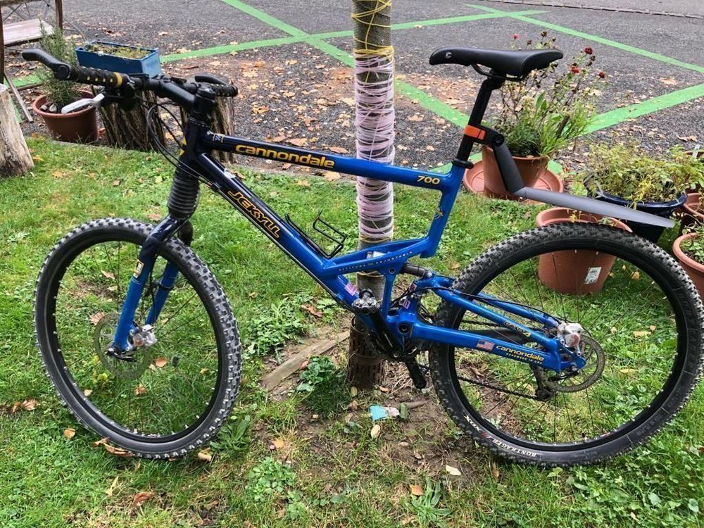 Cannondale Jekyll 700 L Deep Blue Fade Acheter sur Ricardo