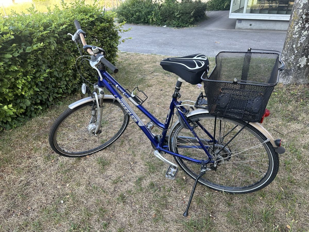 Wheeler Velos: WHEELER Velo – Gebraucht aus Uster von bek_v2ct