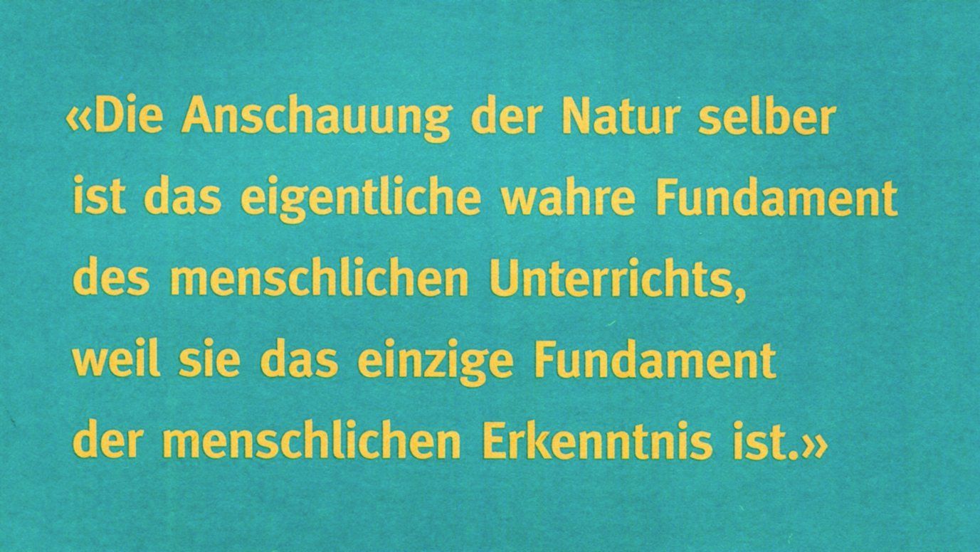 Bücher: Schule, Schulwesen – Gebraucht aus Aarau von Elmaar41 4