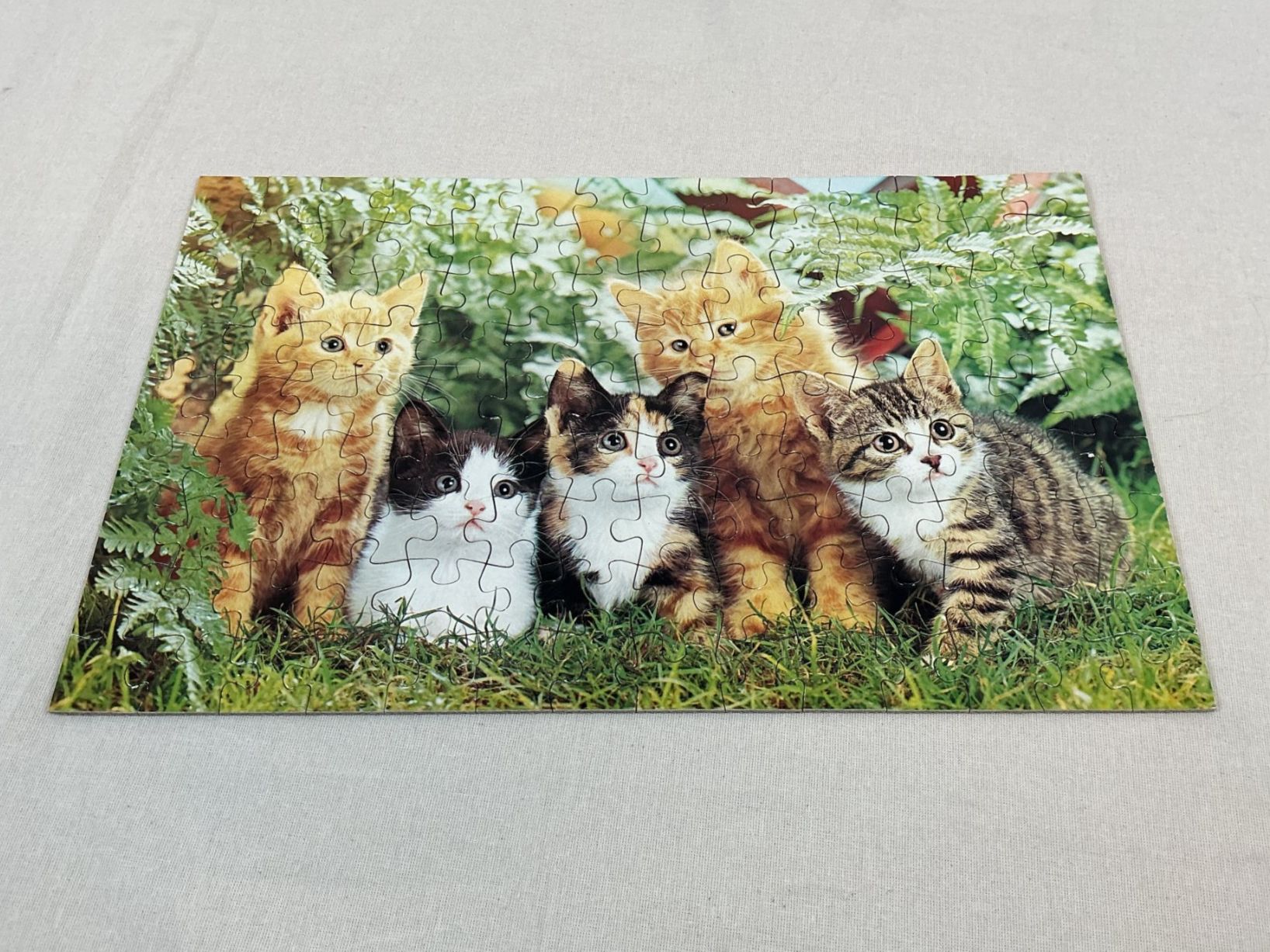 Ravensburger Puzzle: RAVENSBURGER Hund und Katzen Puzzle 2x126 – Usato da Richterswil venduto da Restwert_Richterswil 1