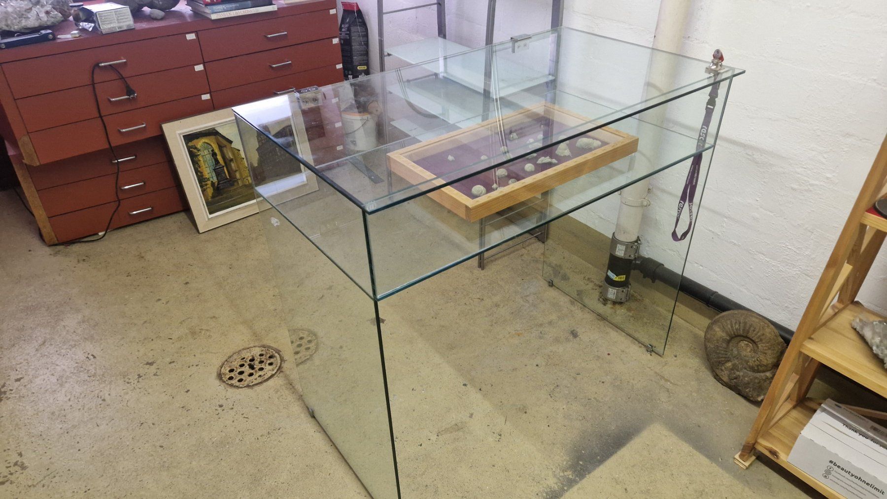 Vitrinen: Glasvitrine – Gebraucht aus Niederhasli von rehauge01