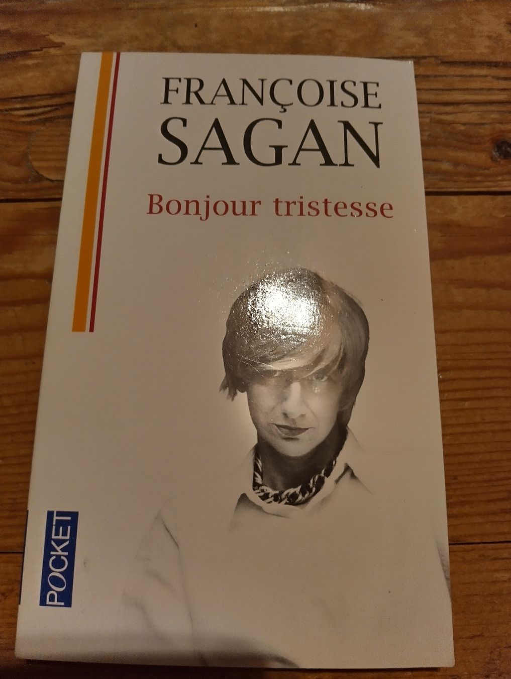 Libri: Bonjour tristesse – Nuovo (secondo la descrizione) da Rüedisbach venduto da aendu010