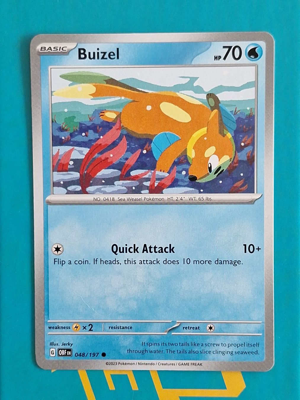 Pokémon Carte collezionabili: Buizel - Pokemon Obsidian Flames – Usato da Altstätten SG venduto da GGsGameshop