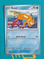 Buizel - Pokemon Obsidian Flames