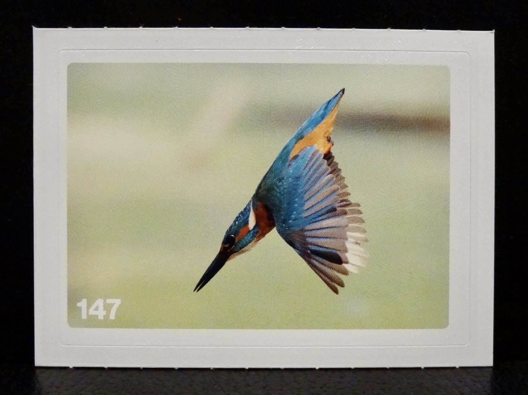 Migros Sammelbilder & Trading cards: MIGROS MANIA Nature Detectives Nr. 147 – Neu und originalverpackt aus Kerzers von zimmergruen
