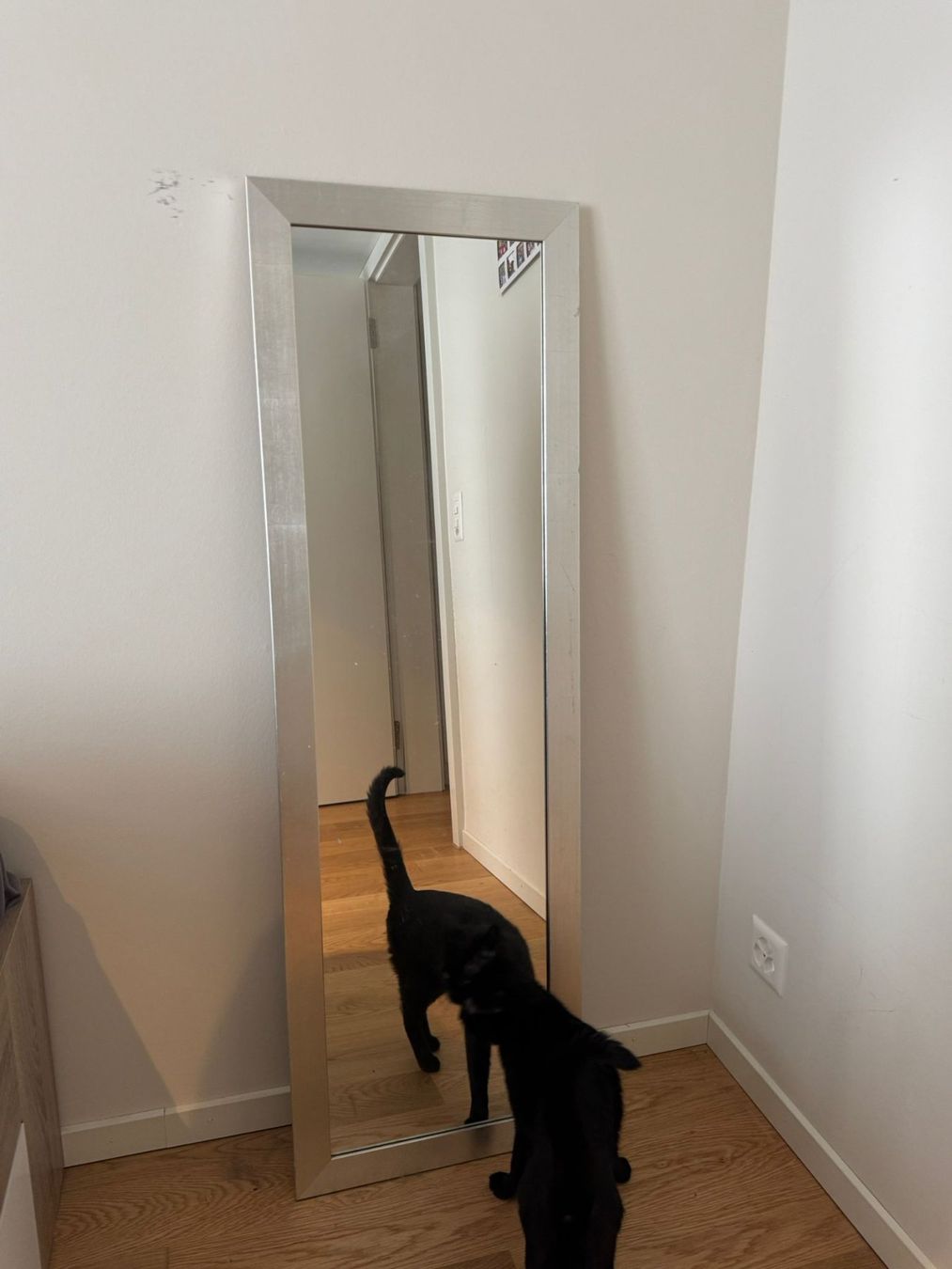 Specchi: Silver Full Length Mirror (Cat no included) – Usato da Luzern venduto da kim_my9c 1