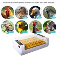 Eier Inkubator Brutmaschine für 24 Eier