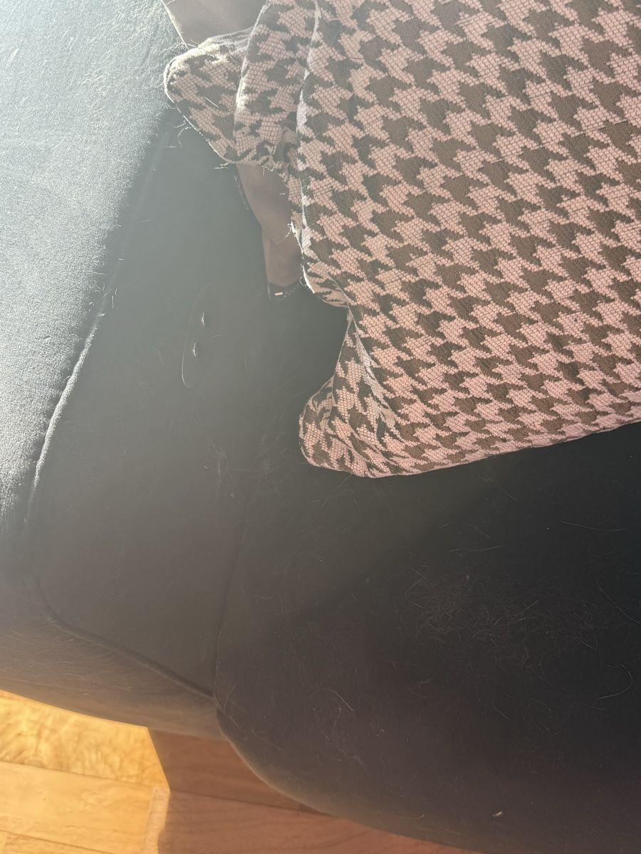Sofas: Schwarzes Ecksofa, samt – Gebraucht aus Oberrüti von Labello8 1