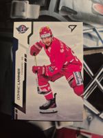 Dominic Lammer Rapperswil Jona Lakers Sportzoo 2024/25