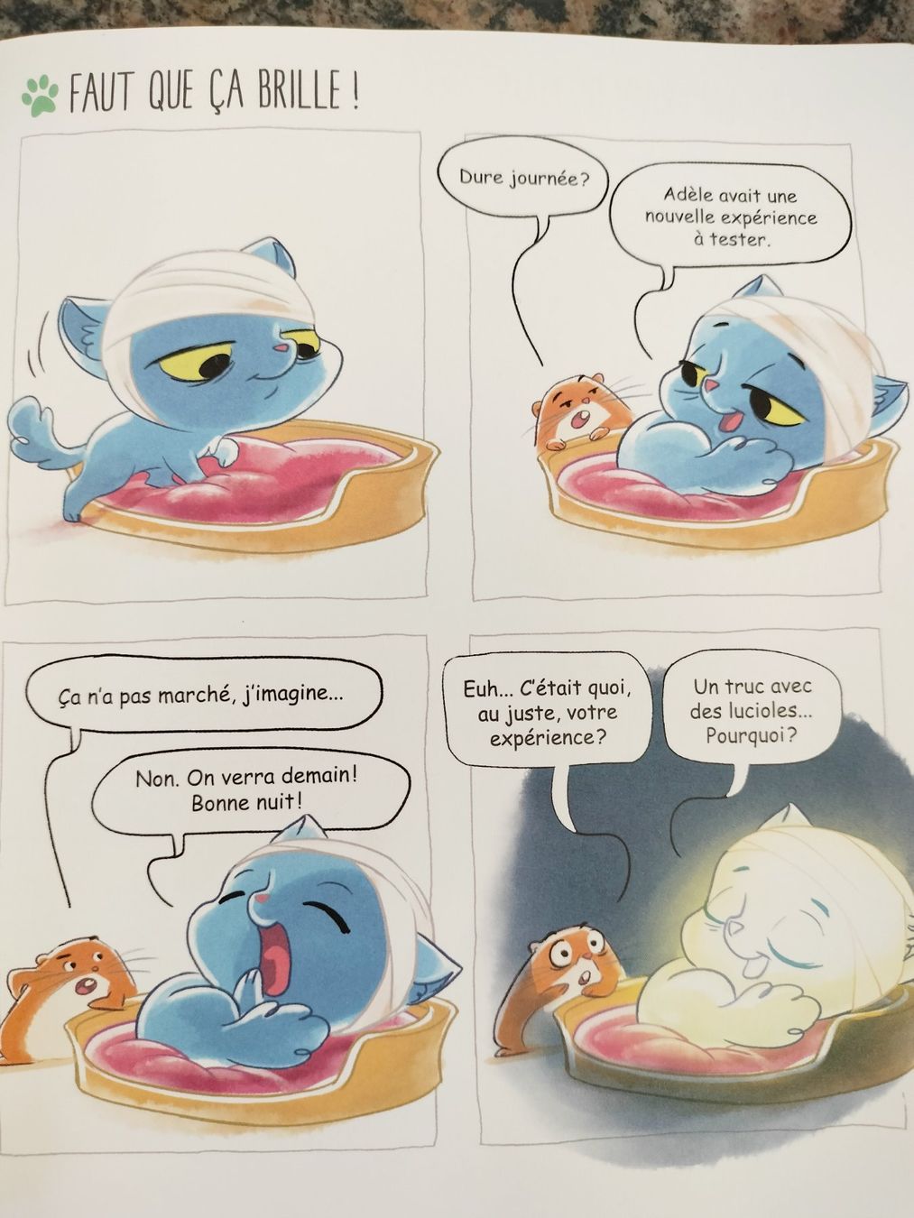 Bücher: Ajax, Tome 01 - Chat va bien ! Mortelle Adèle – Gebraucht aus Cortaillod von rozinna 4