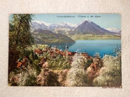 Ansichtskarte,Vitznau m. Vierwaldstättersee + Alpen, ZNr.120