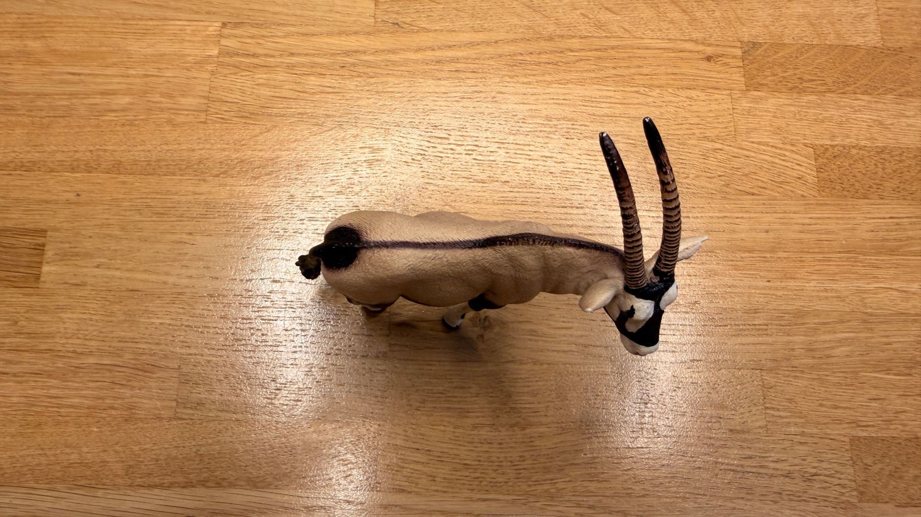 Schleich Giocattoli: SCHLEICH - Oryxantilope 14759 – Usato da Winterthur venduto da Secondhand-Family 6