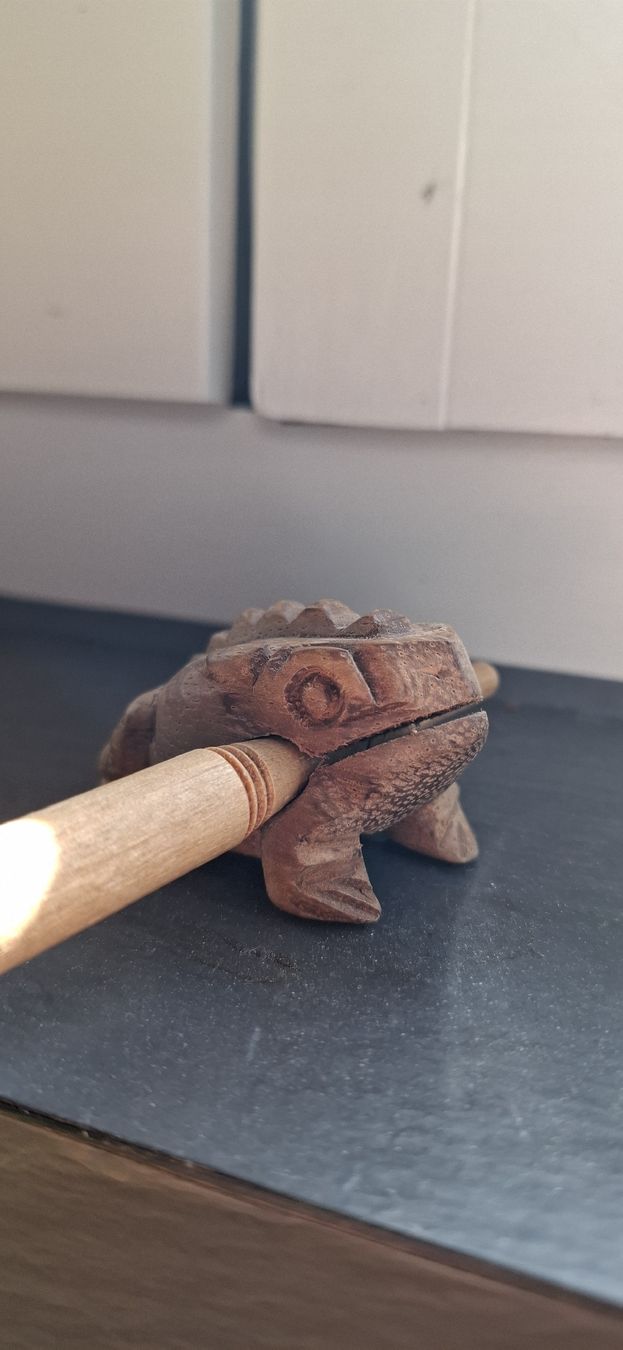 Strumenti musicali: kleiner Instrumentfrosch – Usato da Mellingen venduto da lathei