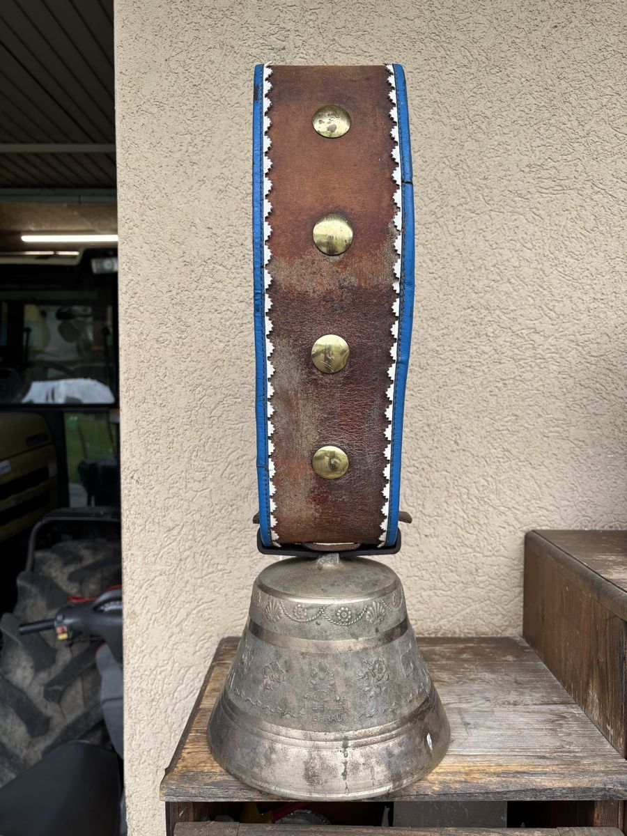 Cloches & sonnailles: Berger Glocke – D'occasion à Schangnau par Roseggli82 6