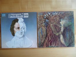 Poesie und Musik - Vollenweider