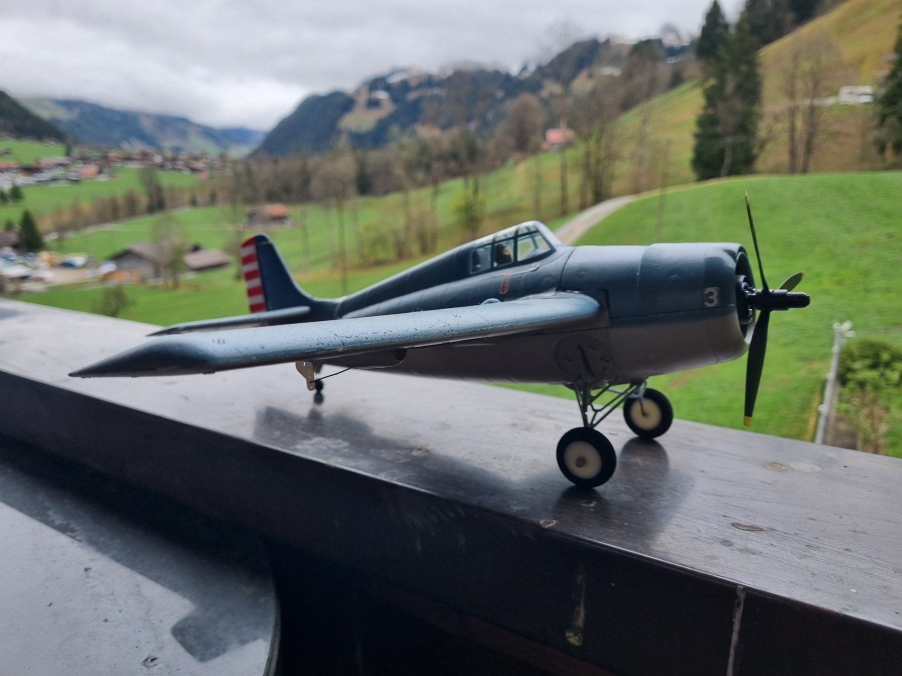 E-Flite Modellismo RC: UMX- Modellflugzeug Wildcat F4F – Difettoso da Blumenstein venduto da mar_9pgj 1