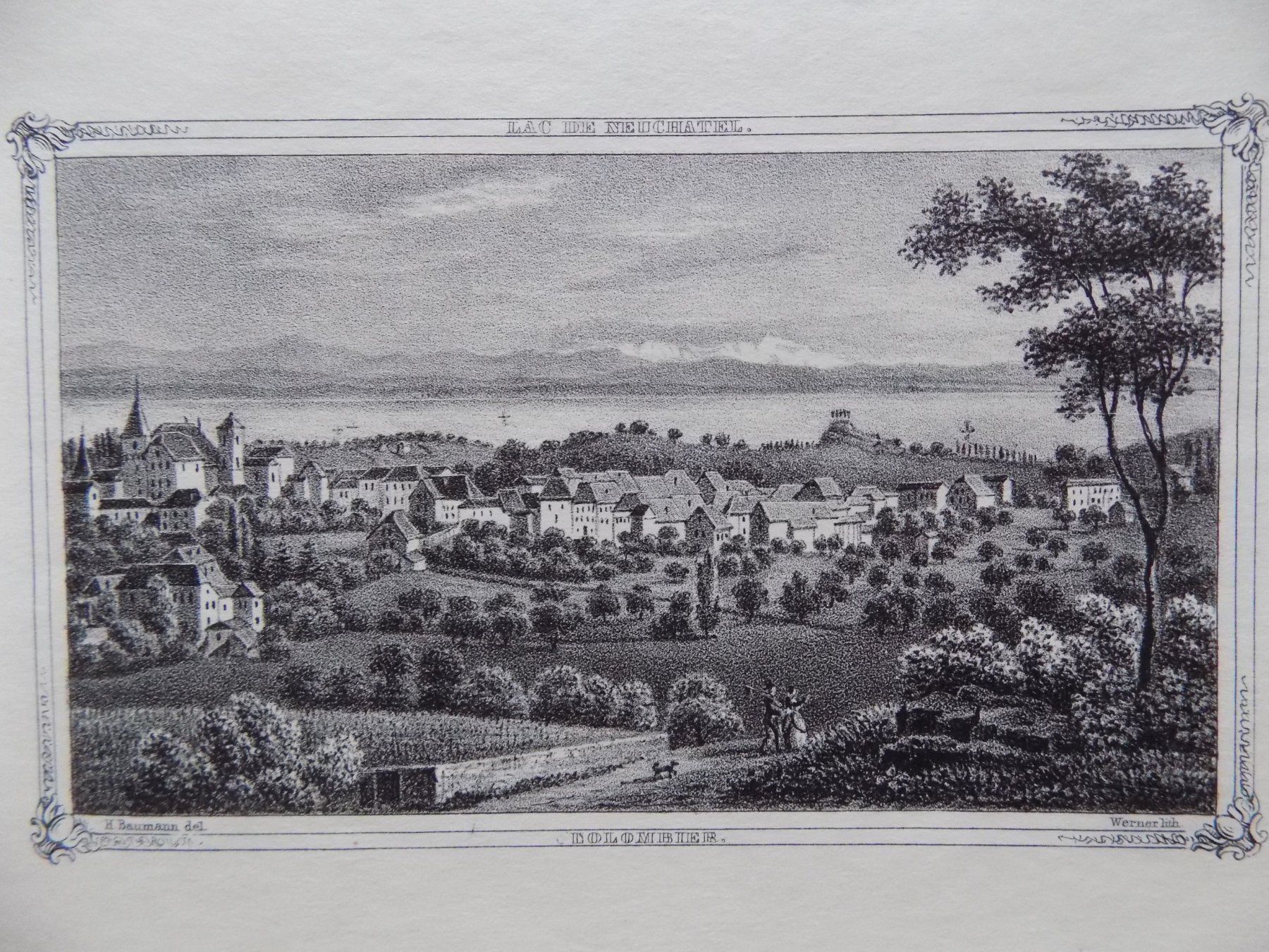 Incisioni: Colombier Lithographie um 1855 – Usato da Risch venduto da Antikfee 1
