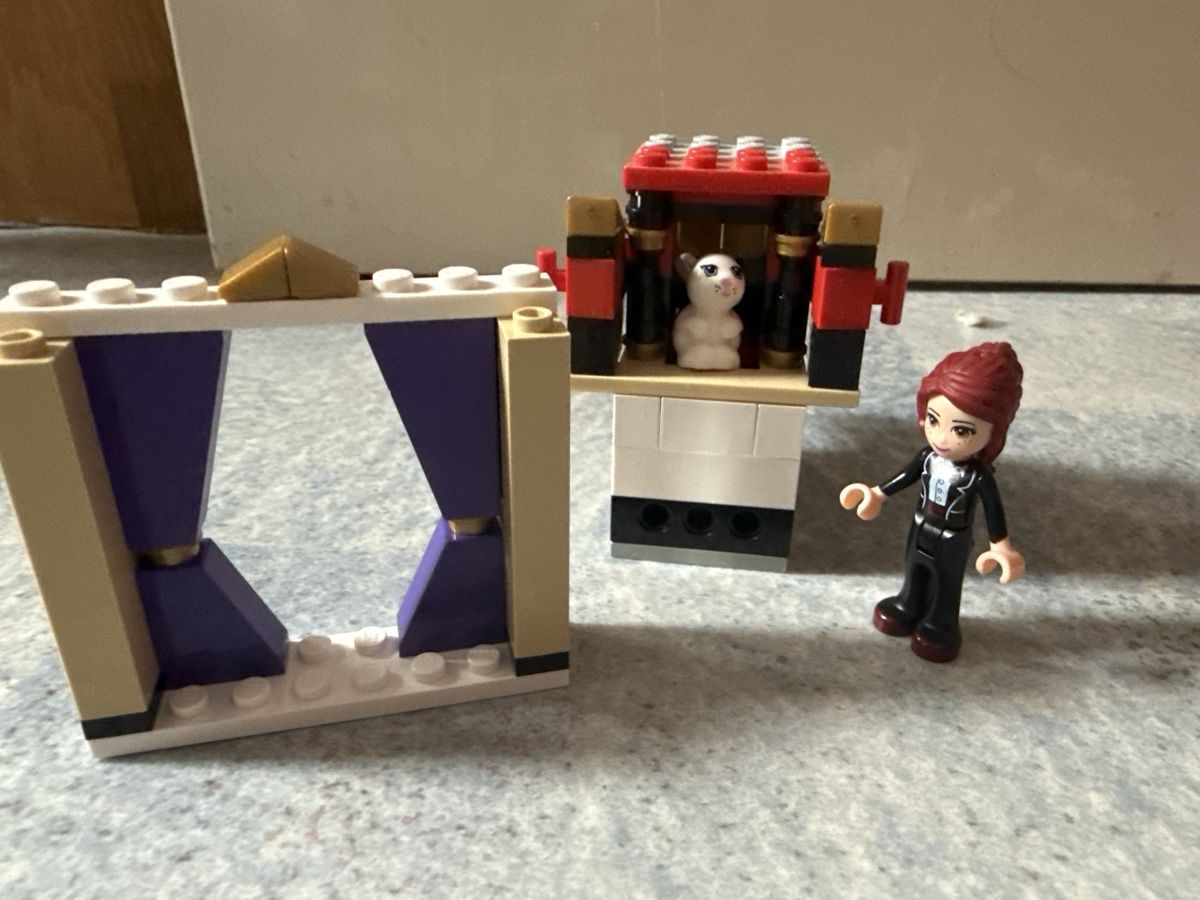 Lego Giocattoli: Lego Friends Zauberer – Nuovo (secondo la descrizione) da Neuheim venduto da fab_7m2f 1