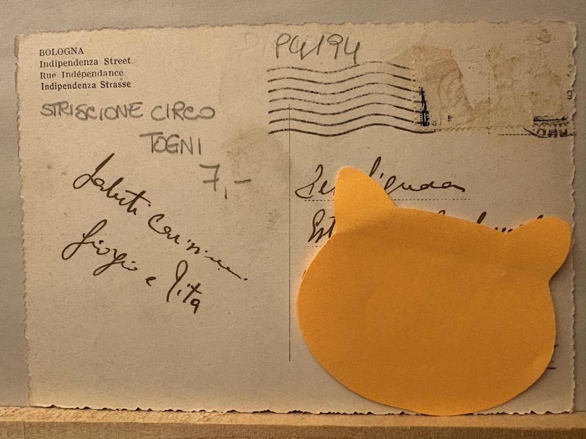 Cartoline postali: AK von Bologna – Usato da Rümlang venduto da Brieftaube1 1