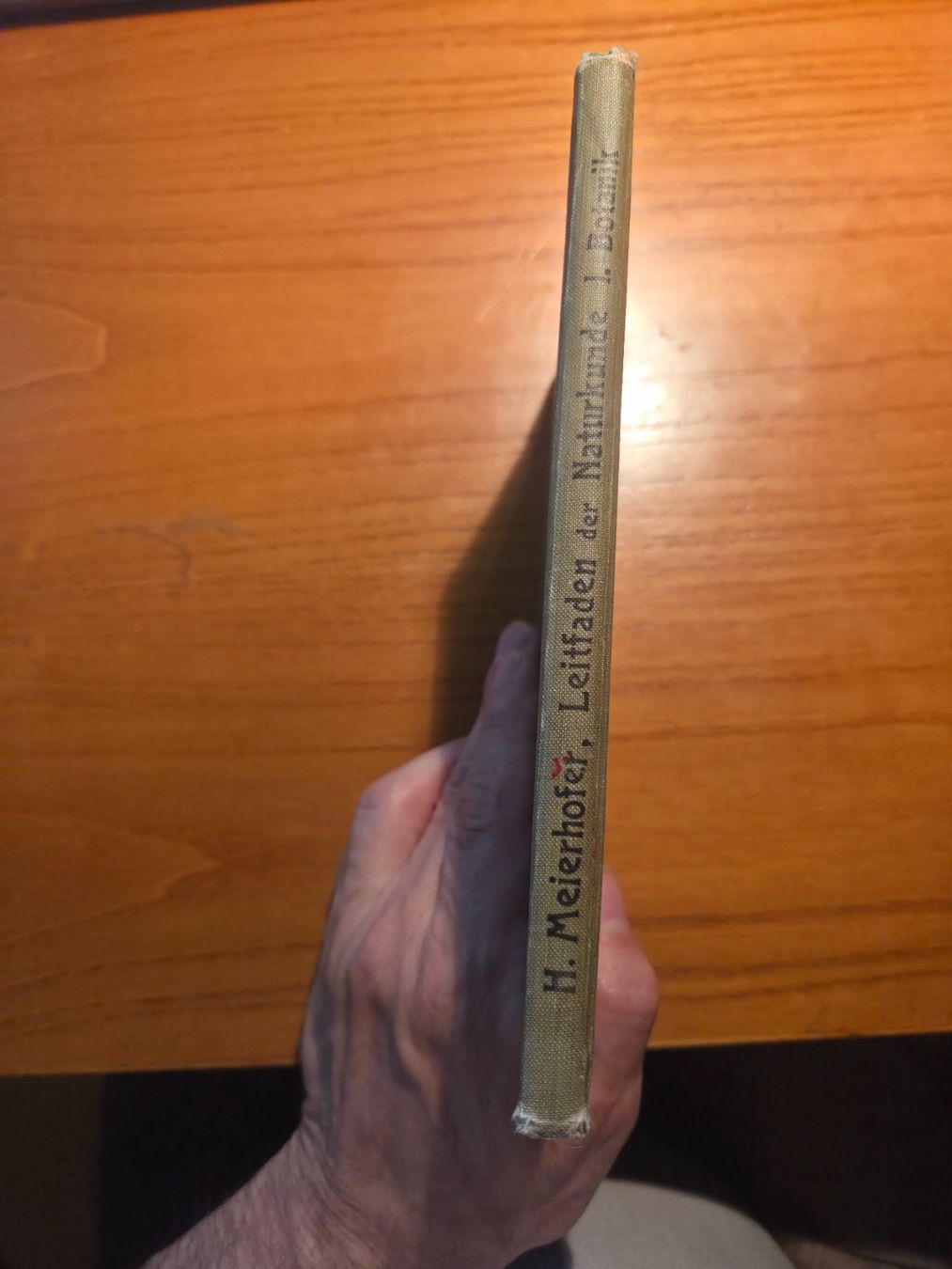 Libri: Meierhofer: Leitfaden der Naturkunde – Botanik, Zürich 1918 – Usato da Aldesago venduto da lusuardi 2