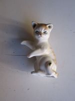 Katze 2