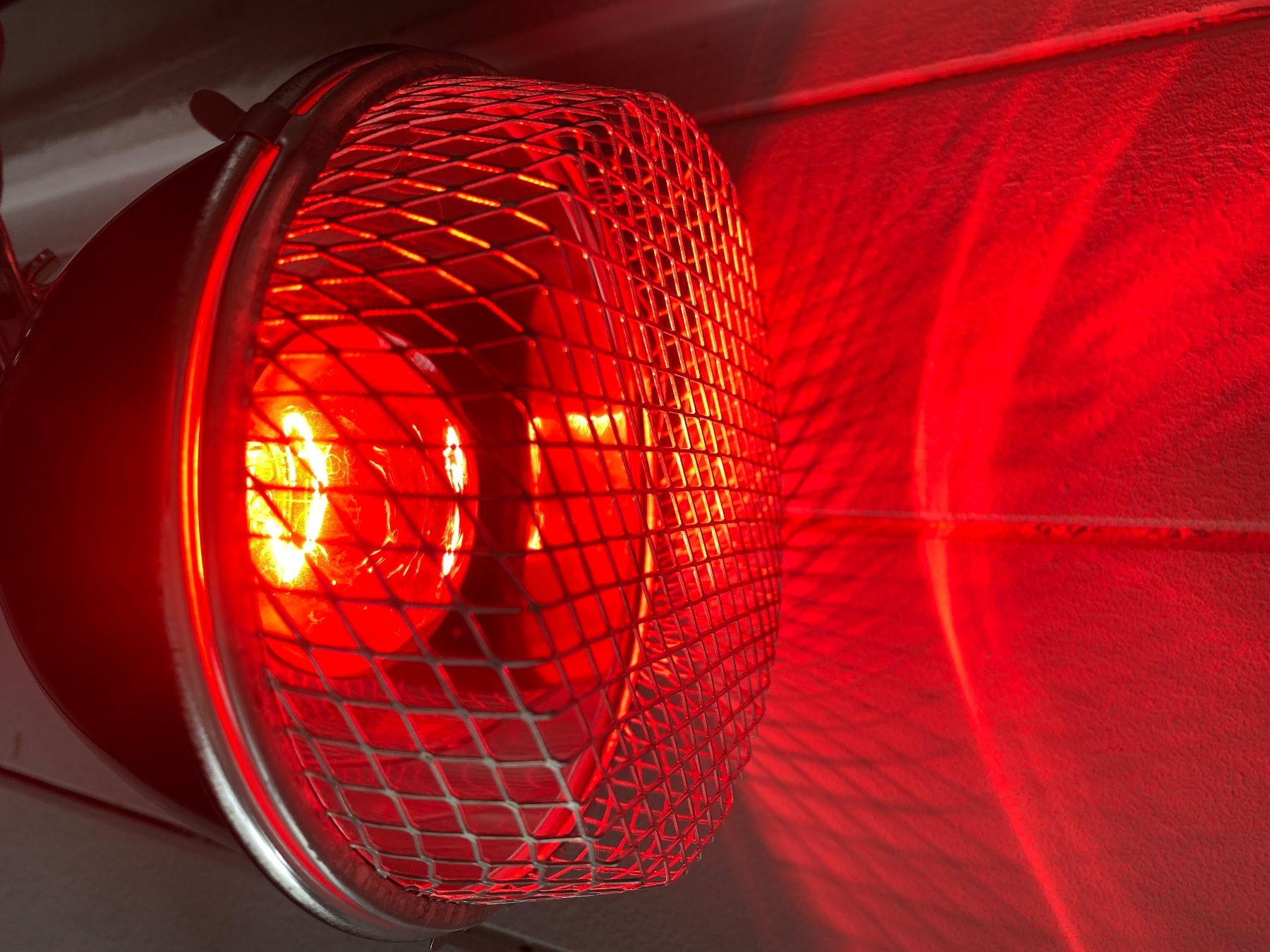 Lampade: Infrarotlampe – Usato da Seewen SZ venduto da shaky01 2
