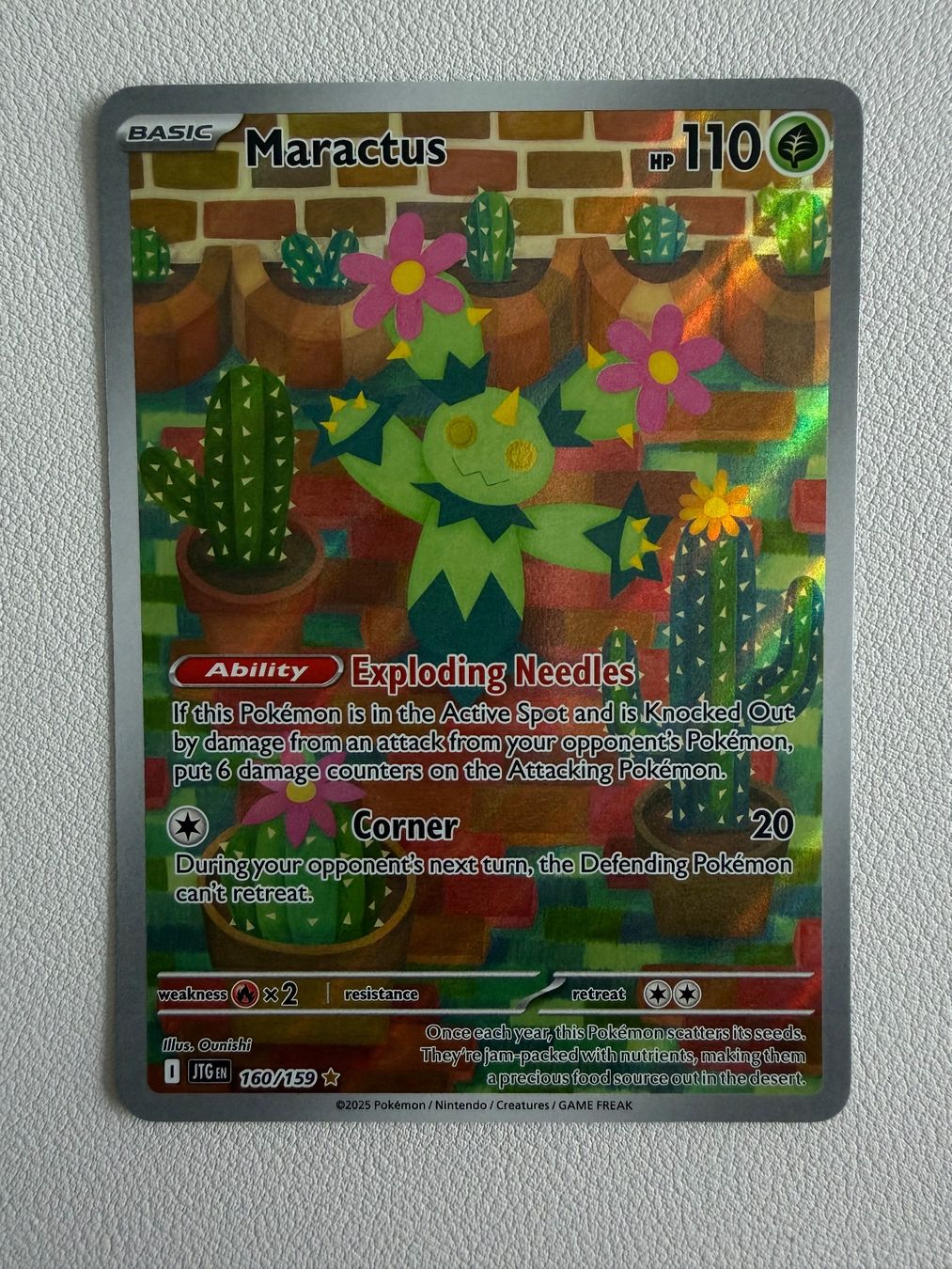 Pokémon Carte collezionabili: Maraktus (JTG 160) – Usato da Zollikofen venduto da blaizol