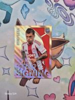 Panini Sticker FIFA 365 Strefezza 220 