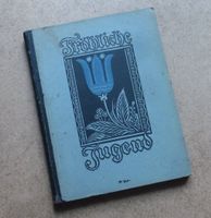 Buch aus dem Jahr 1919 ++ Fröhliche Jugend