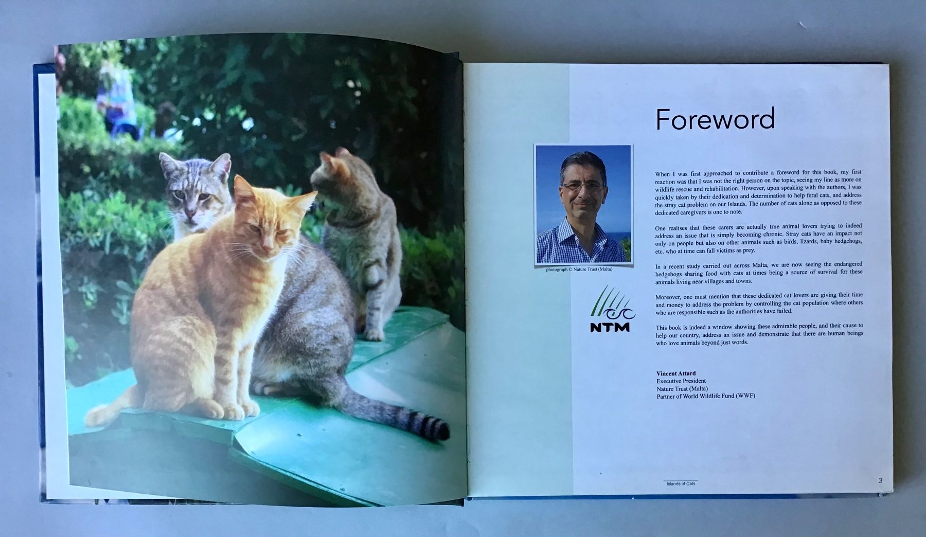 Libri: Buch: Islands of Cats – Nuovo (secondo la descrizione) da Bubendorf venduto da Alpenheidi 1
