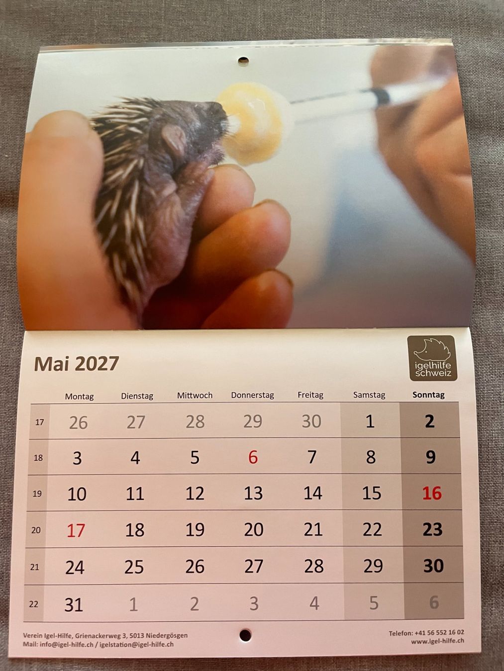 Calendari: Igelkalender 2027 - Igelhilfe Schweiz – Nuovo (secondo la descrizione) da Zollikofen venduto da england9 4