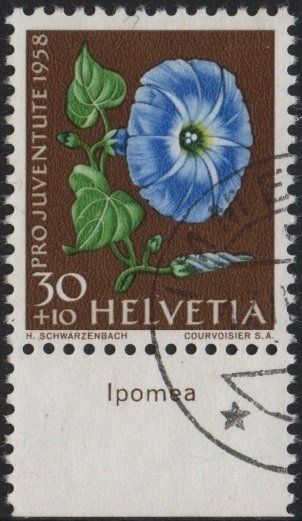 Tous les timbres: 30 Rp. Prunkwinde mit TAB (Ipomea) – D'occasion à Eglisau par Chperfins