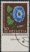 30 Rp. Prunkwinde mit TAB (Ipomea)