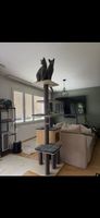 Kratzbaum Katzenbaum Grau mit Höhle und mehreren Ebenen