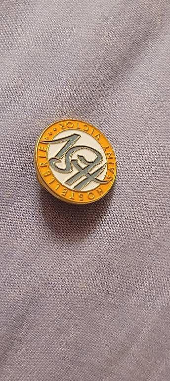 Plaketten & Abzeichen: Pins HSV – Gebraucht aus Vésenaz von emose